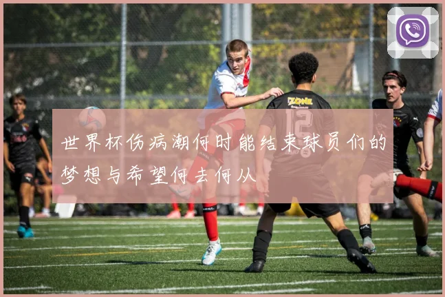 世界杯伤病潮何时能结束球员们的梦想与希望何去何从